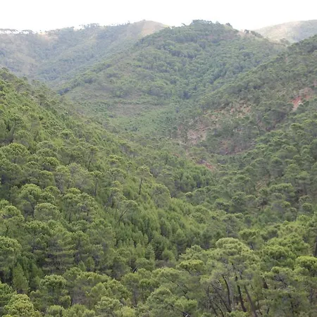 Mirador De 2* Jubrique