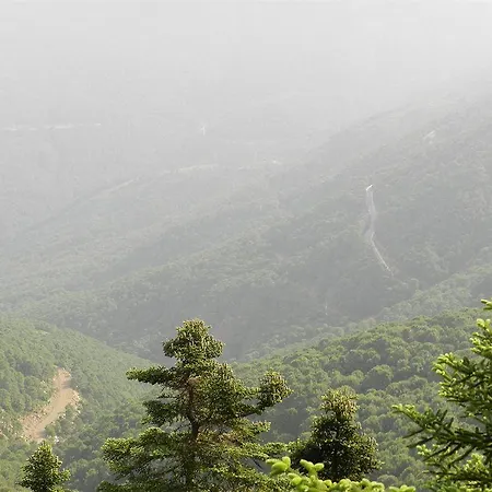 Mirador De