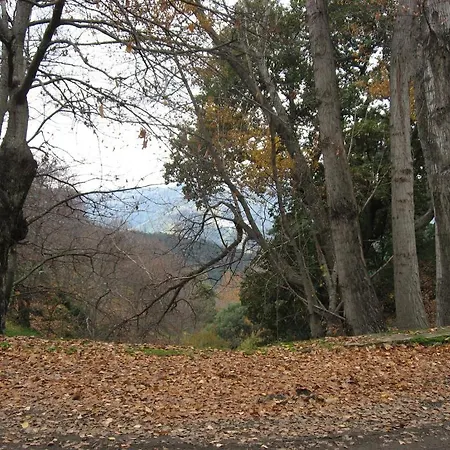 Mirador De 2* Jubrique