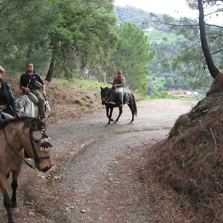Vendégház Mirador De Jubrique